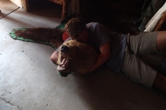 OLYMPUS DIGITAL CAMERA